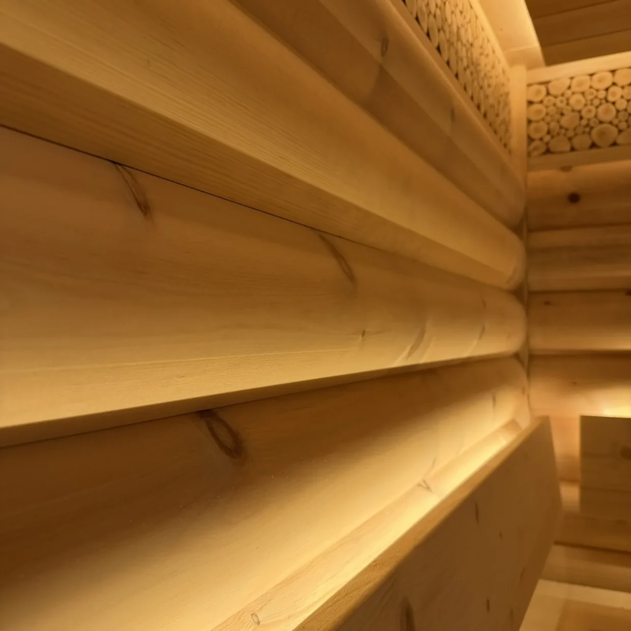 Designsauna Moderna