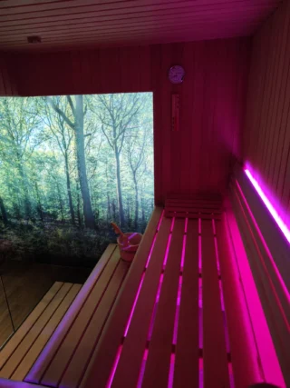 Gewerbliche Sauna in Erle – B2B