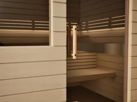 Klarglastür mit Holzgriff an der Sauna Venus 2 Fenster Profilholz Linde